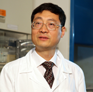Prof. William LU